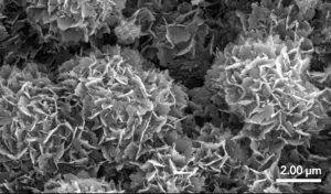 Nanocrystalline HCA surface of advanced synthetic bone graft material at 8,000X magnification.