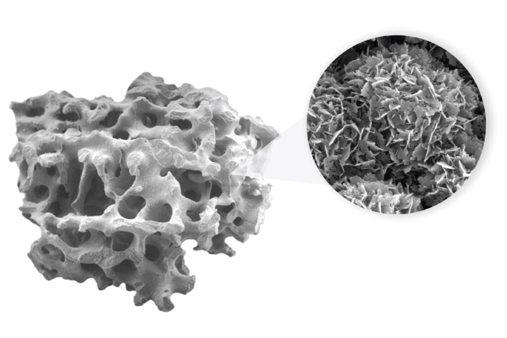 High magnification image of TrelCor bone graft nanocrystalline surface morphology that improves bone formation.