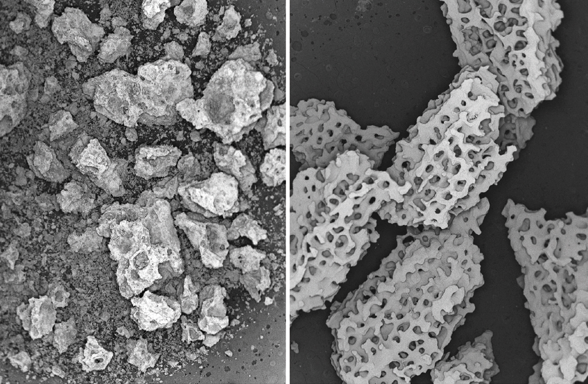 Capitalizing on the relationship between biomimetic porosity and bone formation can improve bone grafting outcomes.