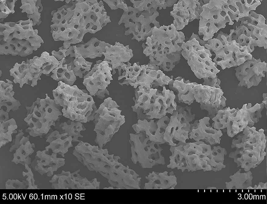 Bone graft granules with biomimetic porosity