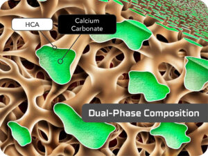 TrelCor's dual-phase composition of HCA surface layer and calcium carbonate core.