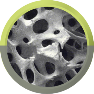 TrelCor 100% interconnected biomimetic porosity