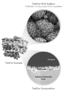 SEM cross-section showing TrelCor’s HCA and calcium carbonate layers. 