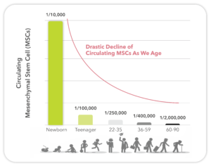 Stem cell concentration to human age correlation chart.